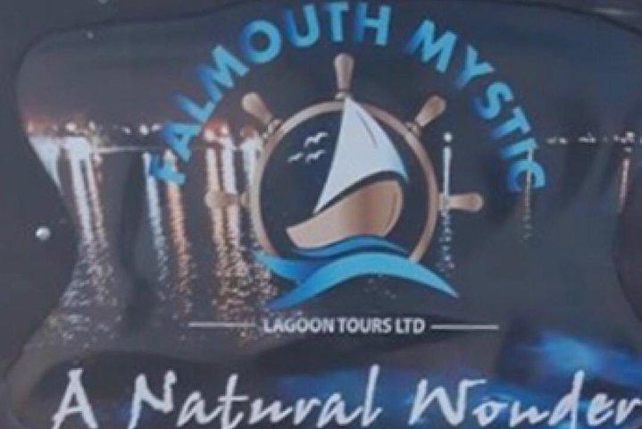 Luminous Lagoon and Glistening Water Tour från Montego Bay