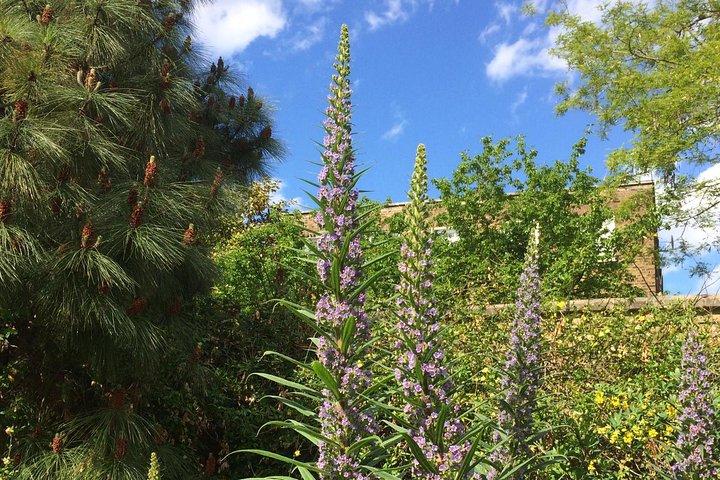 Visite privée des jardins secrets de Londres