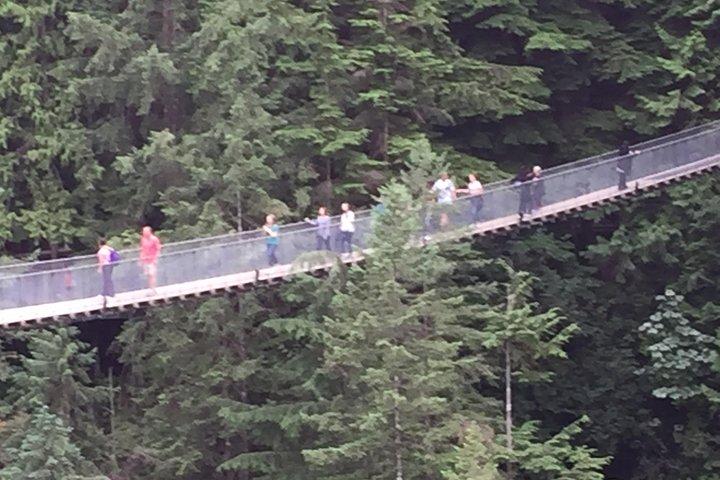 Mountain Adventure (Grouse Mountain og Capilano Suspension Bridge)