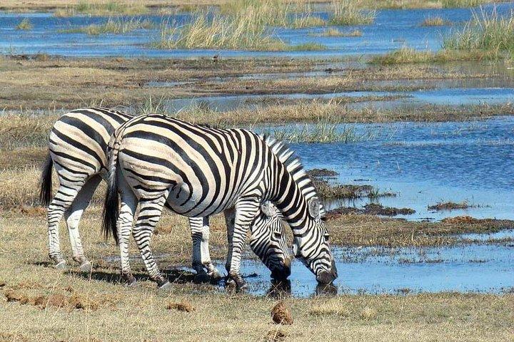 Dagtocht Arusha National Park Tour Tanzania Safari