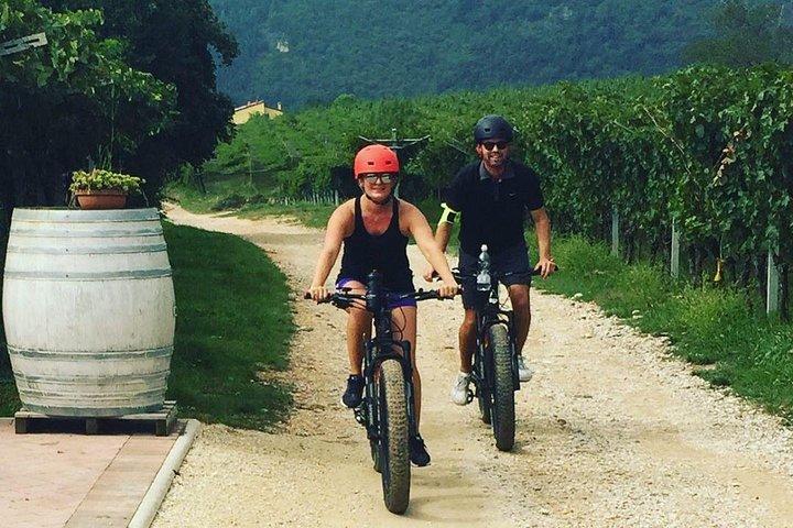 Fahrradstation Valpolicella: E-Bike-Tour & Amarone-Verkostung