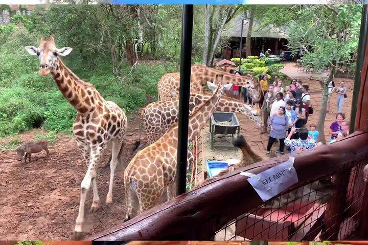 Giraffe Centre, Kralentour, Karen Blixen Museum