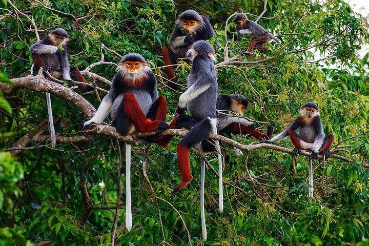 Hue till Dn/Hoi An: Hai Van Pass, stränder och Mt Monkey eller vice versa