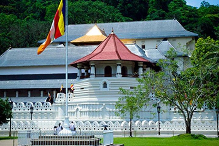 4 Days Kandy Nuwara Eliya