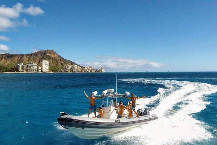 Esnórquel privado y vida silvestre en The Adventure Boat