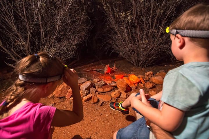 Alice Springs Desert Park Nocturnal Tour