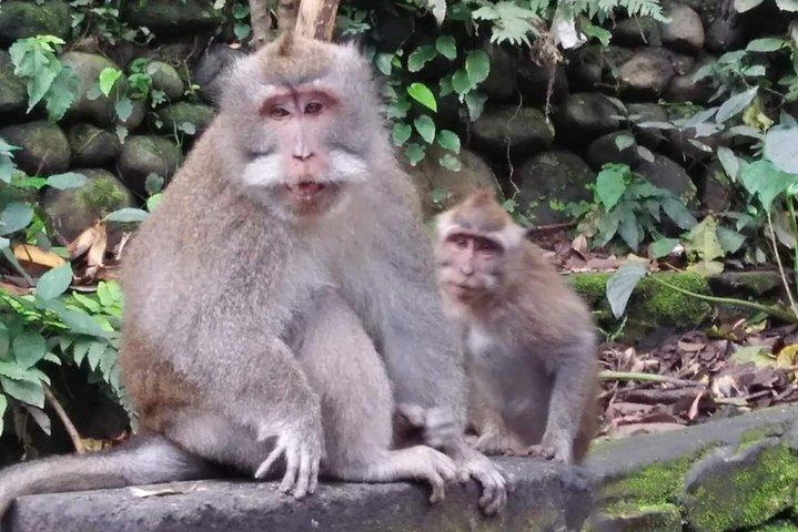 Tour privato tutto compreso di 6 giorni al meglio di Bali e Nusa Penida