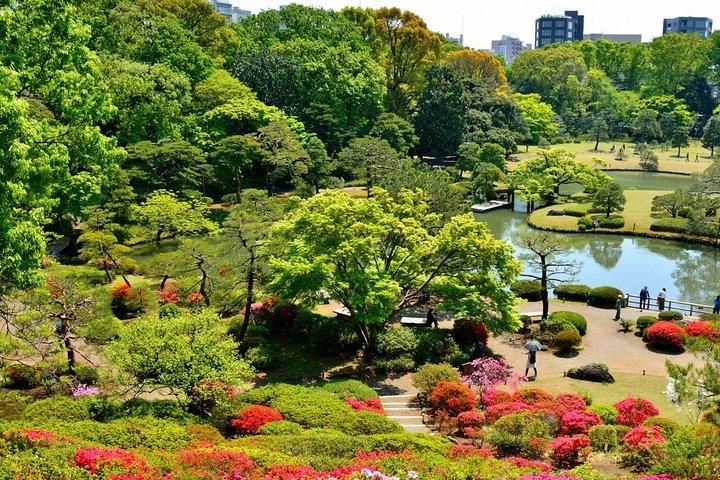 歩いて東京で特別な殴打道を離れて