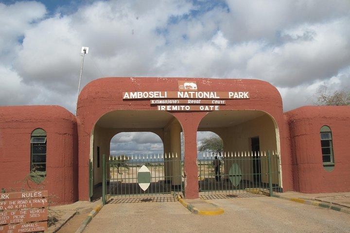 Tour privato di un giorno del parco nazionale di Amboseli da Nairobi