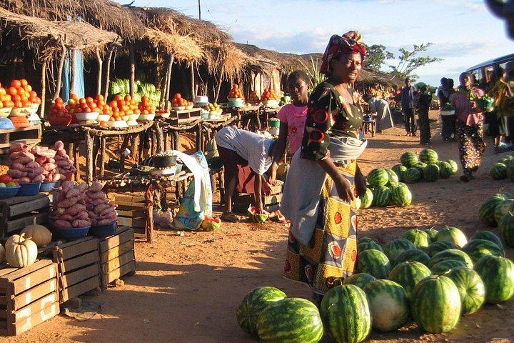 Livingstone Town Tour