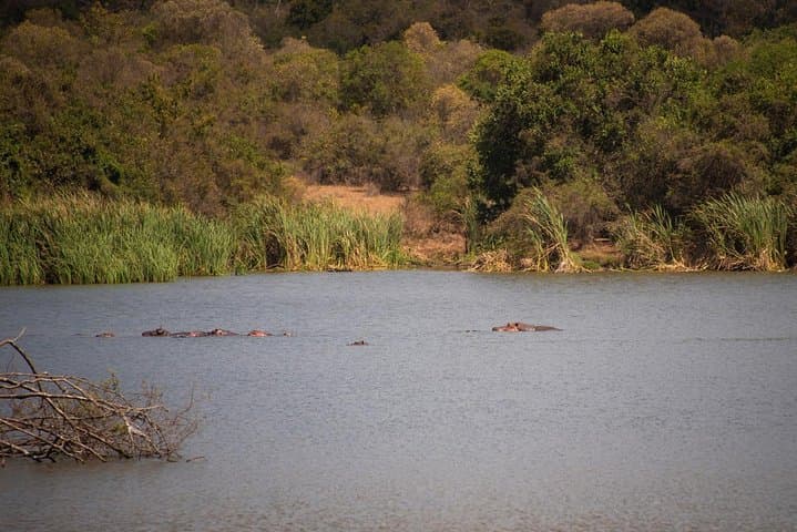 Nairobi Half day top tour attractions for travellers