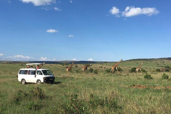 3 Tage Masai Mara