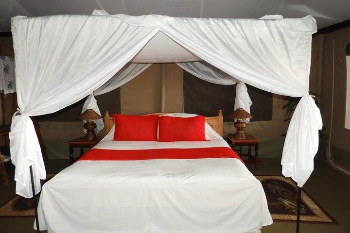 3 Tage Masai Mara