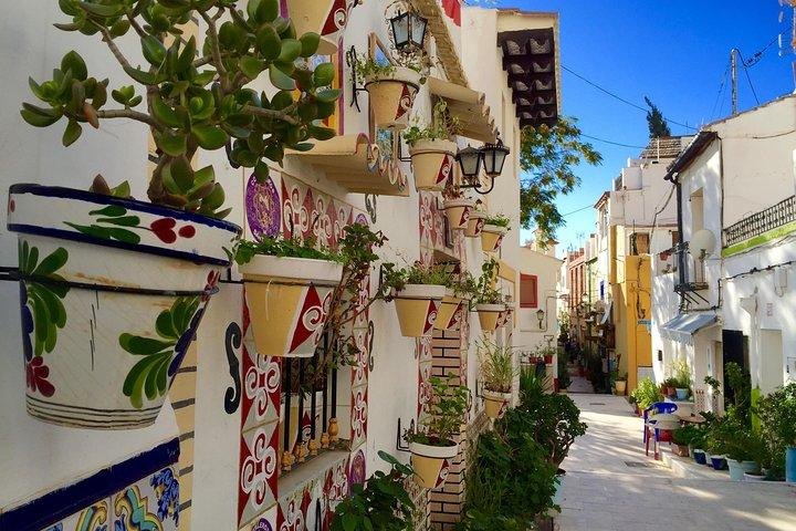 Excursão a pé privada de meio dia em Alicante