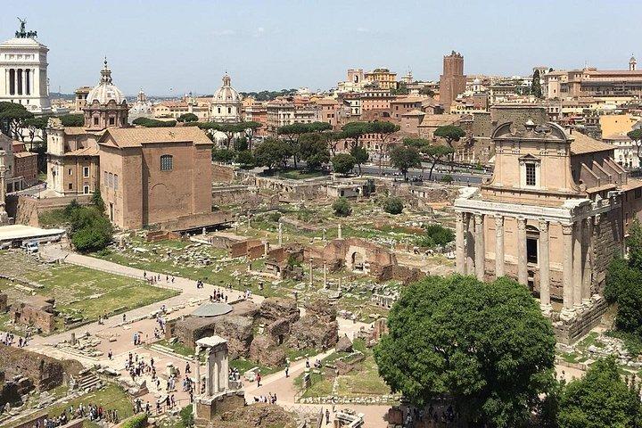 ローマパラティンヒルと古代宮殿ツアー