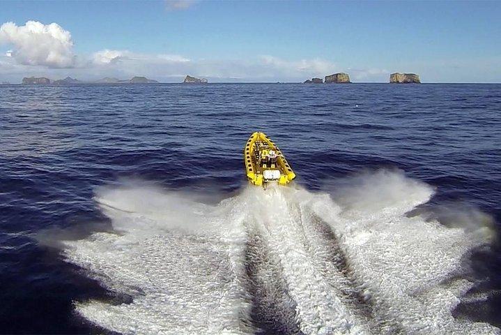 2-timers rundtur i Vestmannaeyjar på en RIB-Båd