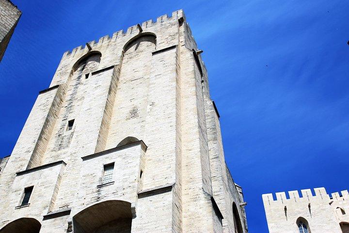 アヴィニョンの歴史、地元の文化、Châteauneufdu Papeプライベートツアーのワイン