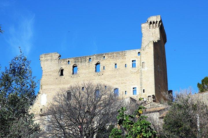 アヴィニョンの歴史、地元の文化、Châteauneufdu Papeプライベートツアーのワイン
