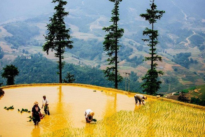 Private Car and Tour Guide Exploring Northern Vietnam