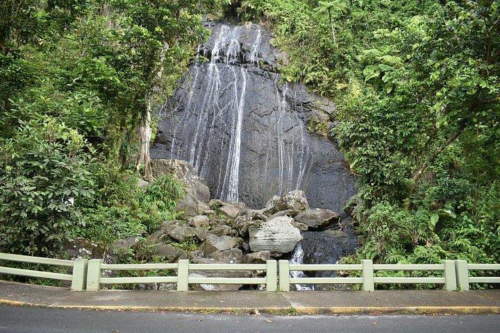 サンファン発エル ユンケ熱帯雨林ガイド付き日帰りツアー