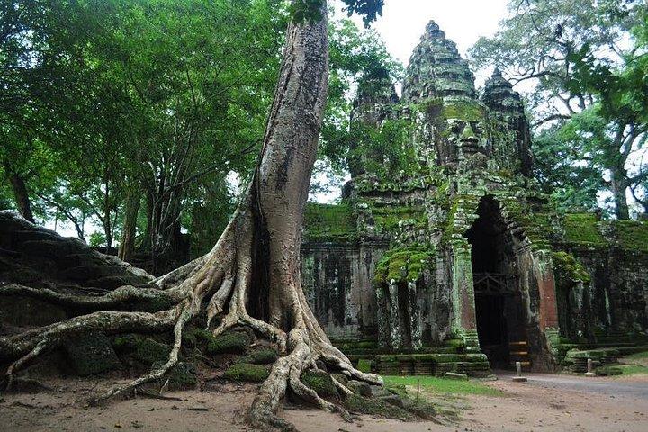 エアコン付きの車両とガイドによる日の出鑑賞付きの 2D アンコール寺院ツアー。
