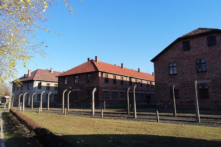 Excursión de un día a Auschwitz-Birkenau desde Varsovia en coche