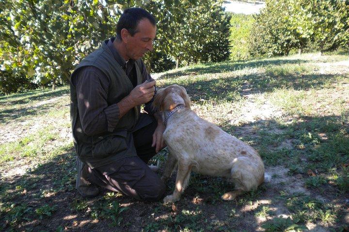 Truffle Hunt & Wine Tasting