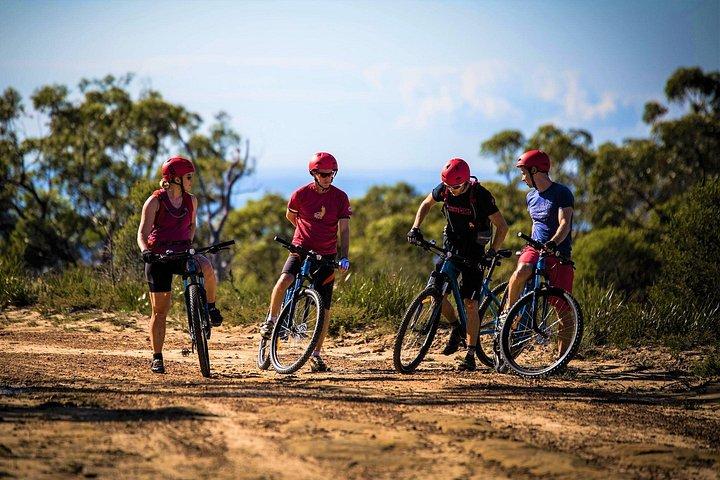 Blue Labyrinth PRIVATE Tour: Sydney Blue Mountains by E-Bike