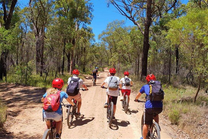 Blue Labyrinth PRIVATE Tour: Sydney Blue Mountains by E-Bike