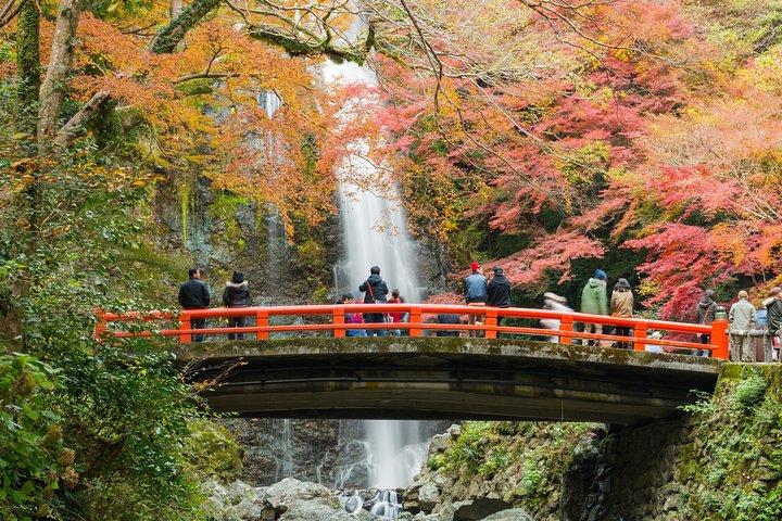 大阪・中崎町：現地ガイド付きプライベート＆個別ツアー