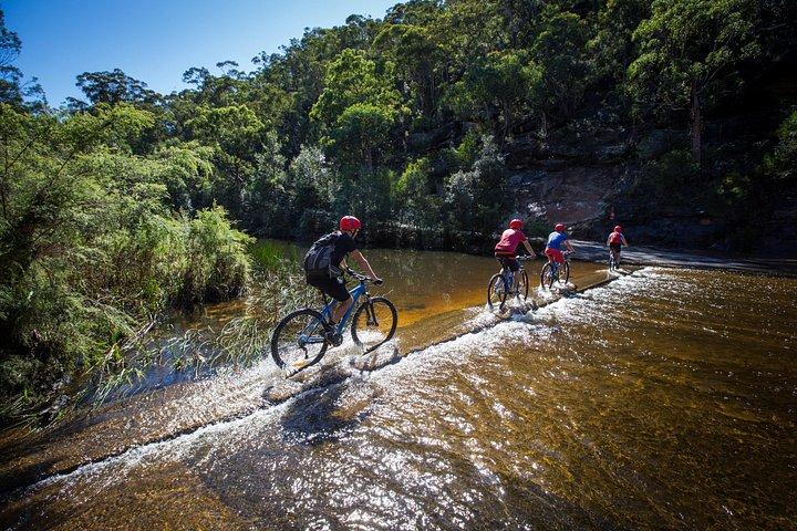 Blue Labyrinth PRIVATE Tour: Sydney Blue Mountains by E-Bike