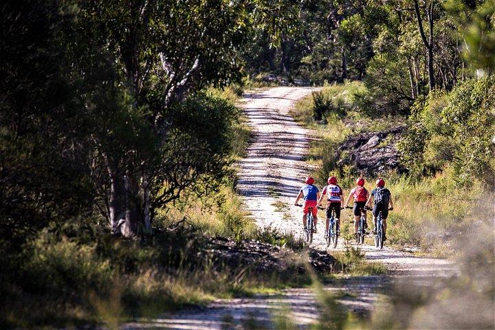 Blue Labyrinth PRIVATE Tour: Sydney Blue Mountains by E-Bike