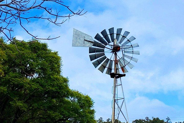 Perth Hills Explorer Private Day Tour