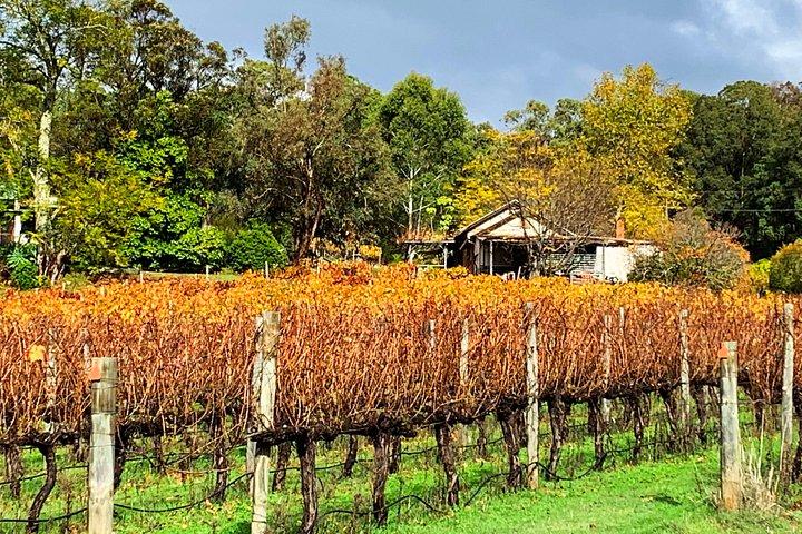 Perth Hills Explorer Private Day Tour