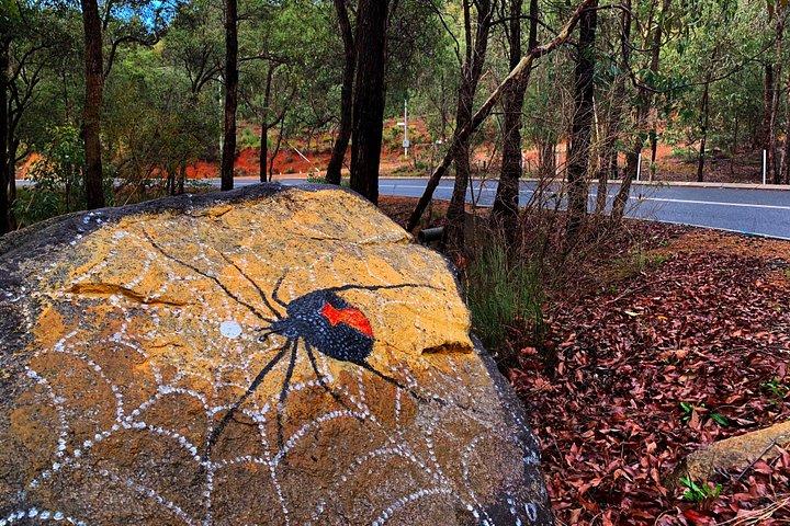 Perth Hills Explorer Private Day Tour