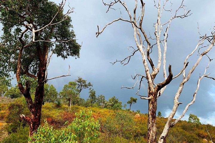 Perth Hills Explorer Private Day Tour