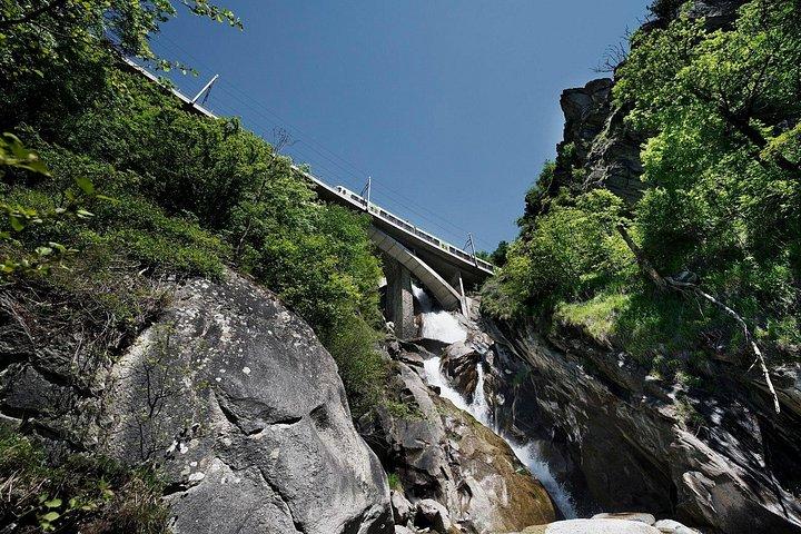 ミラノ発インターラーケンとスイスアルプスのグリーントレイン日帰り旅行