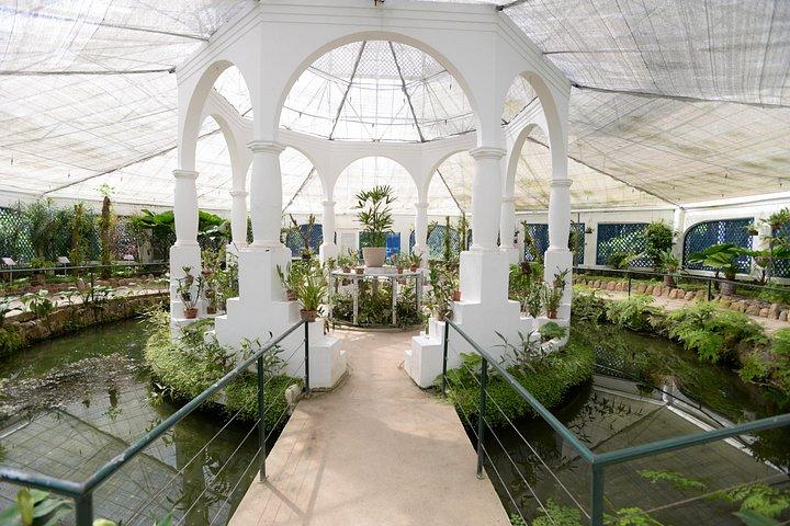 植物園とラジェ公園の写真家によるプライベートツアー