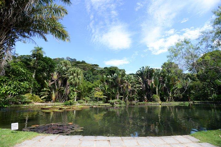 Jardim Botânico e Parque Lage Tour Privado com um Fotógrafo