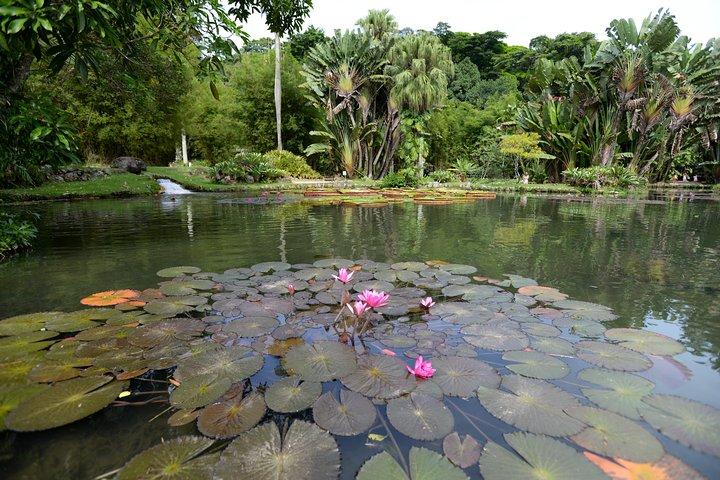 植物園とラジェ公園の写真家によるプライベートツアー