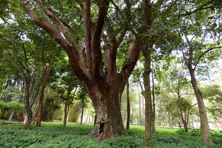 植物園とラジェ公園の写真家によるプライベートツアー