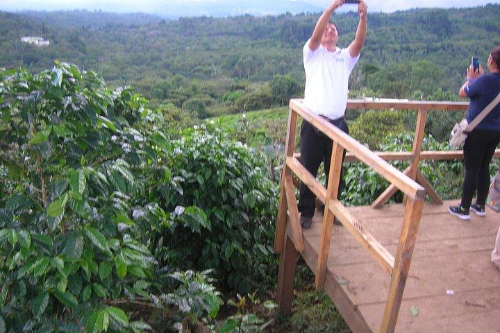 Tour de café y aguas termales.