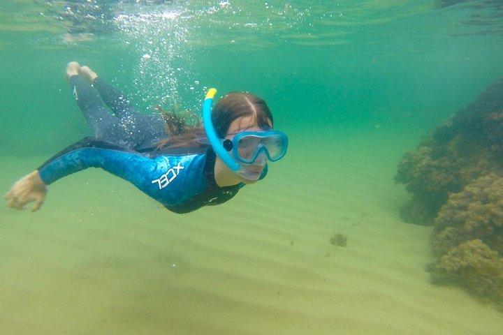 Route de Kayak + Snorkel en Cantabrie