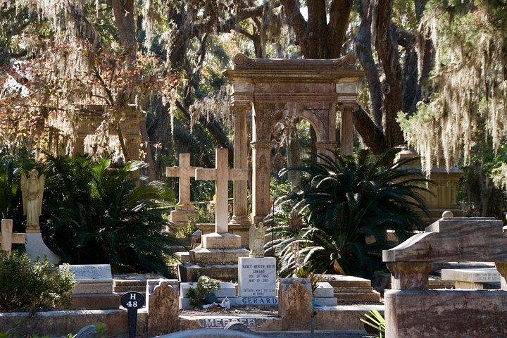 Bonaventure Cemetery Walking Tour med transport