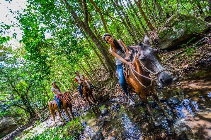 Vida Aventura Ranch Experiência