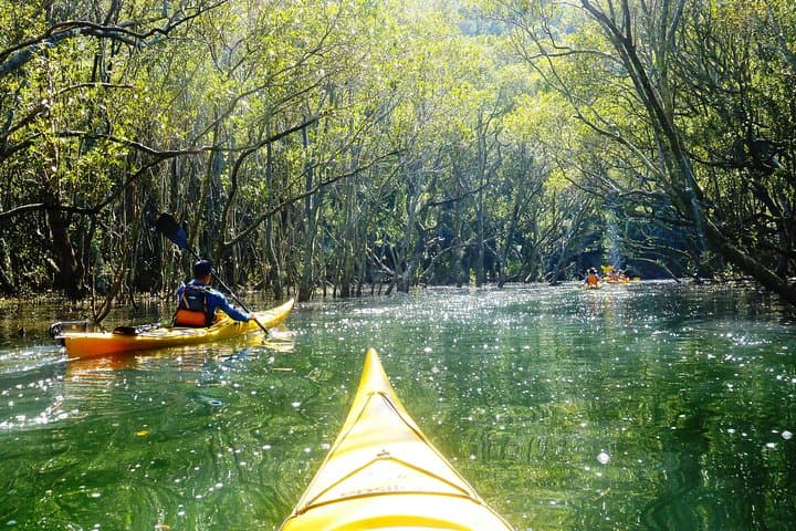 Self-Guided Sydney Middle Harbour Kayak 3 Hour Tour by Single Kayak