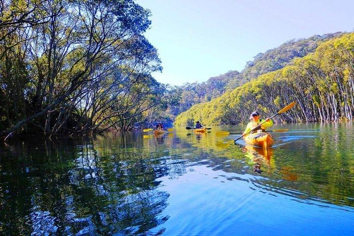 Sydney's Middle Harbour Sea Kayaking Eco Tour (volledig begeleid)