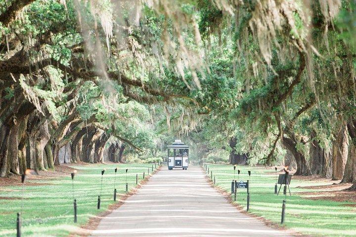 Boleto de entrada de acceso completo a Boone Hall Plantation