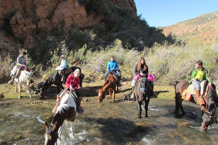 Paseo de día completo al pie de los Andes.