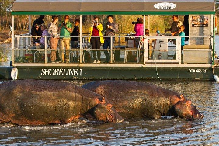 Flusspferd- und Krokodilbootsfahrten im iSimangaliso Wetland Park